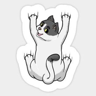 Cute cat at the hug Sticker